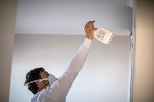 Best Residential Mold Removal  in Dania Beach, FL