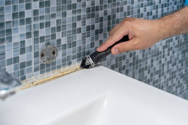 Office Mold Removal Services in Dania Beach, FL